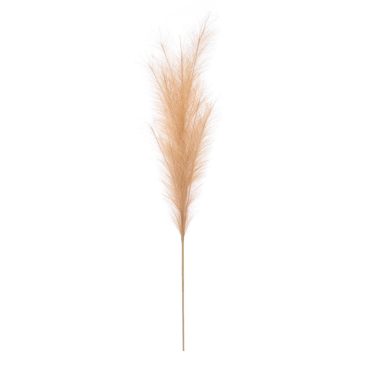 Rama pampa artificial beige 110cm