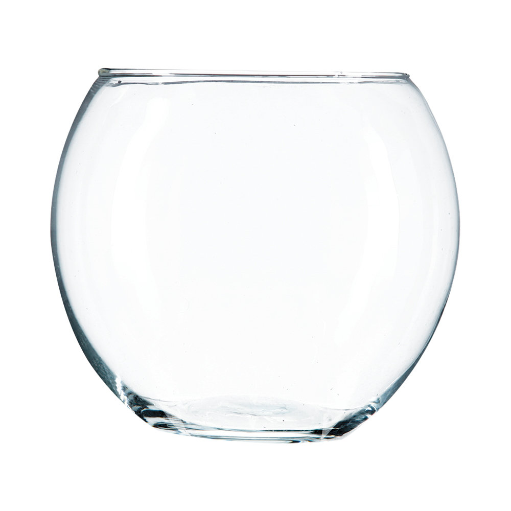 Jarrón De Vidrio Acuario 15x15Cm