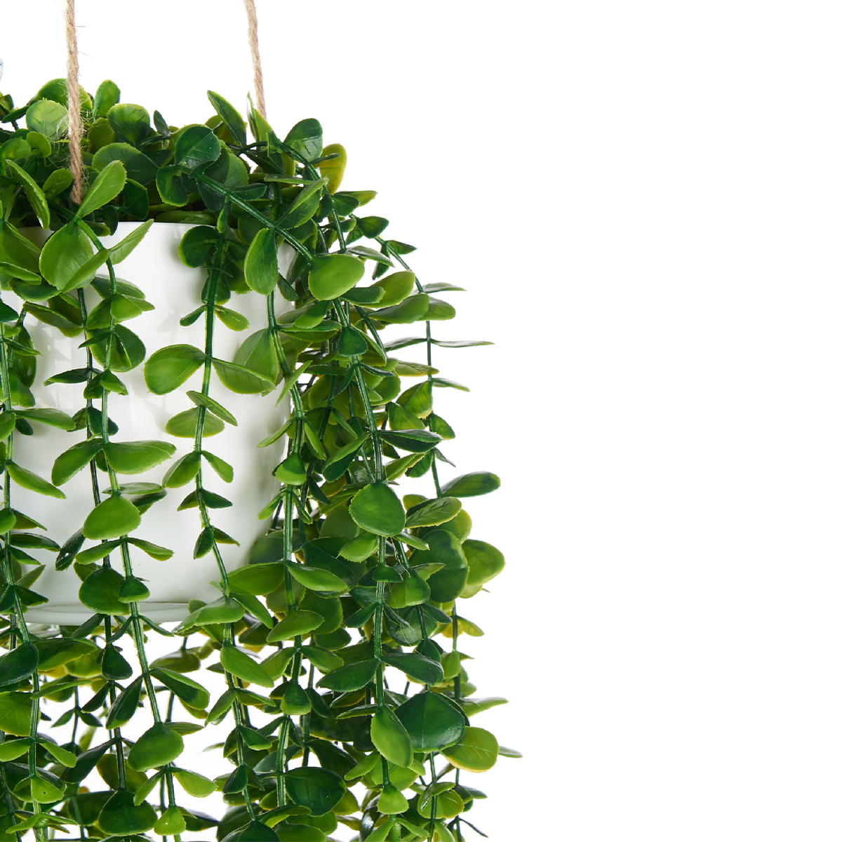Maceta Colgante Con Planta 22x24x55Cm