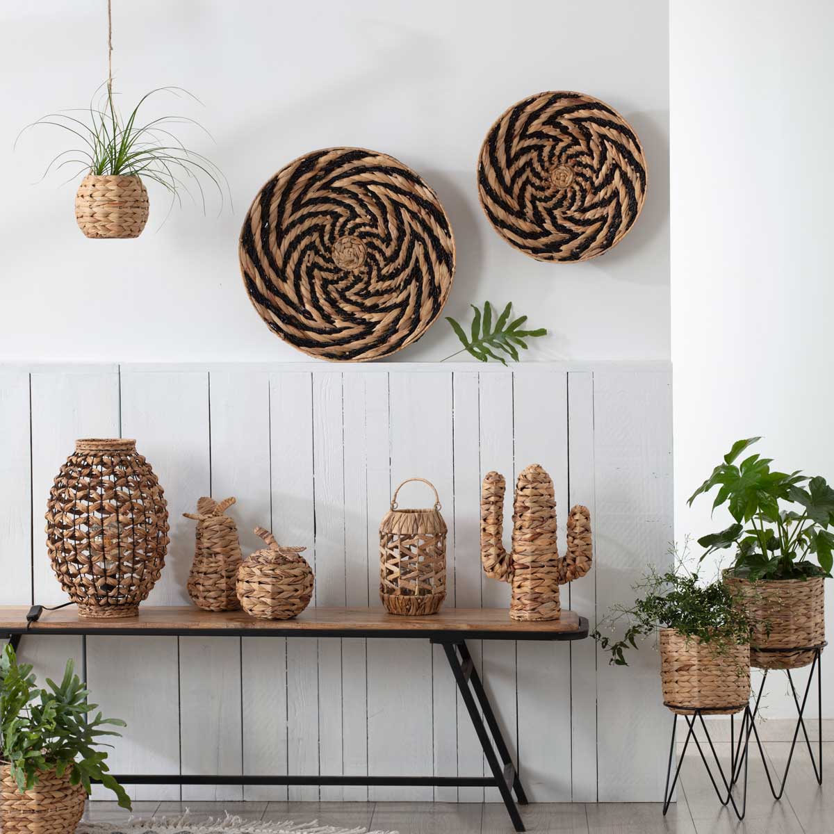 Maceta Colgante Jacinto Tam. 1/2 20x15Cm