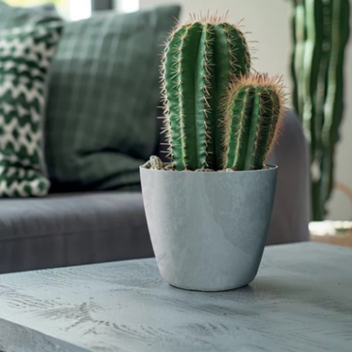 Maceta MATE efecto cemento gris 12.7x13.8x13x8cm