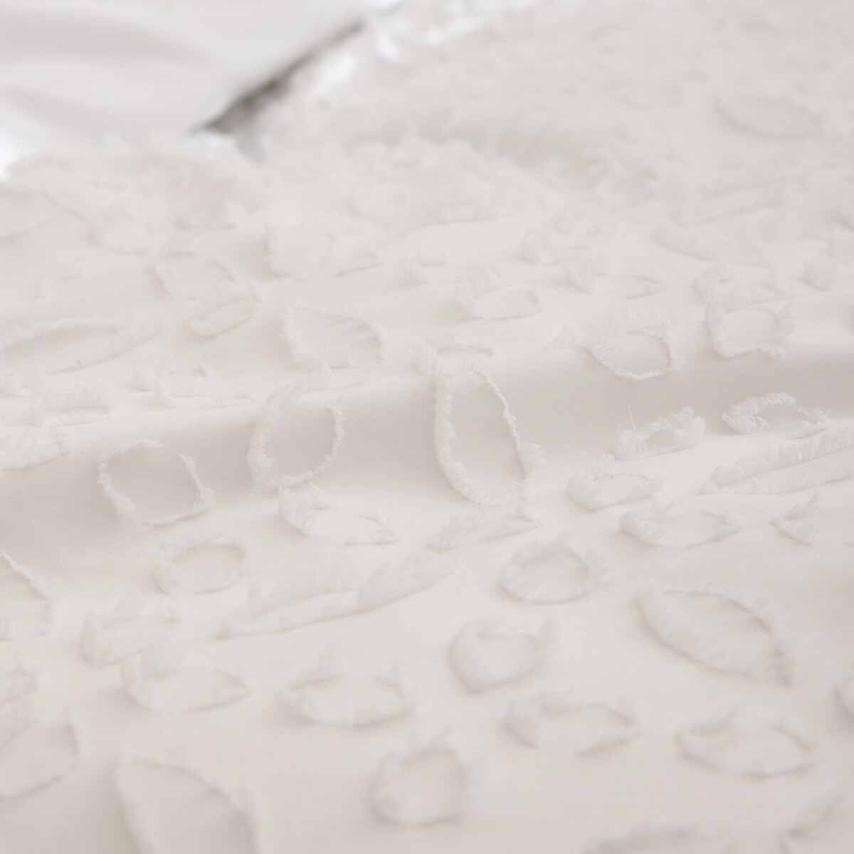 Funda n&oacute;rdica y 2 fundas de coj&iacute;n SWAN blanco