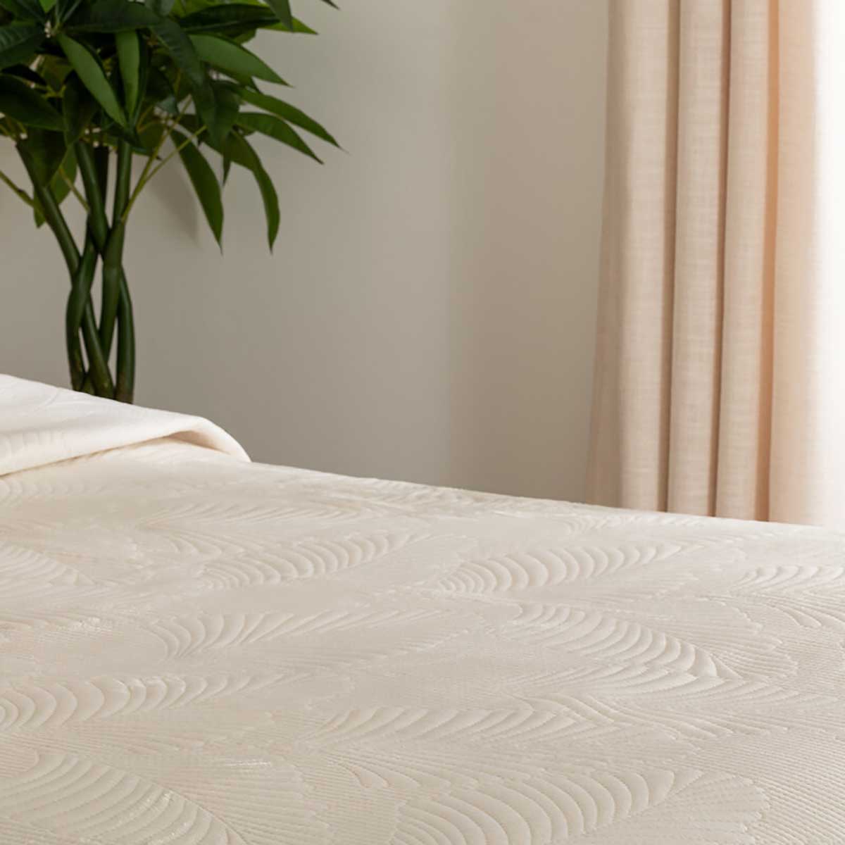 Colcha Wonderly Beige 260x240Cm