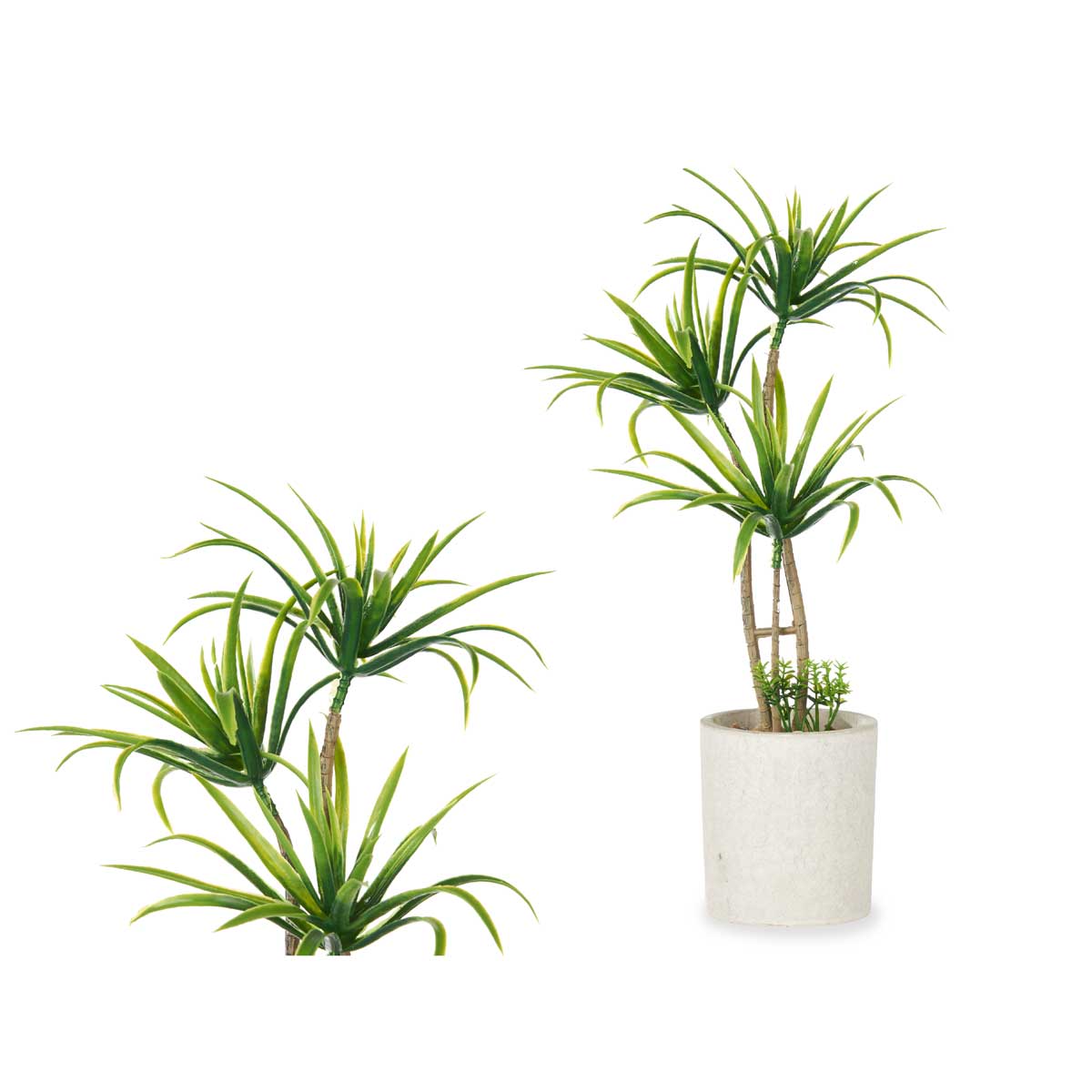 Palmera C/Maceta De Cemento 16x22x38Cm