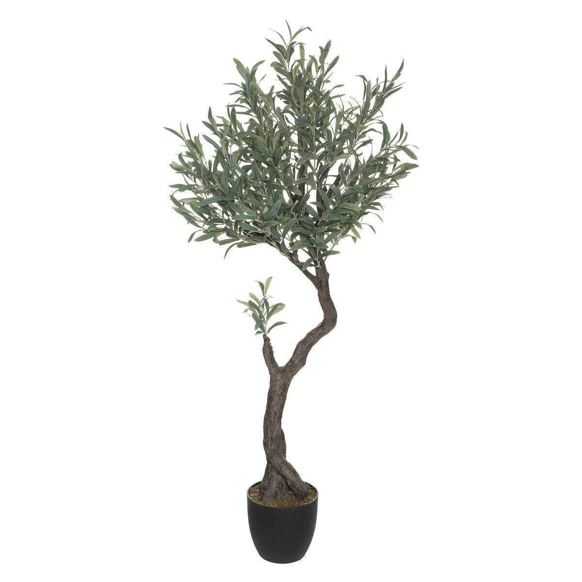 Planta Oliveira Com Vaso 140cm