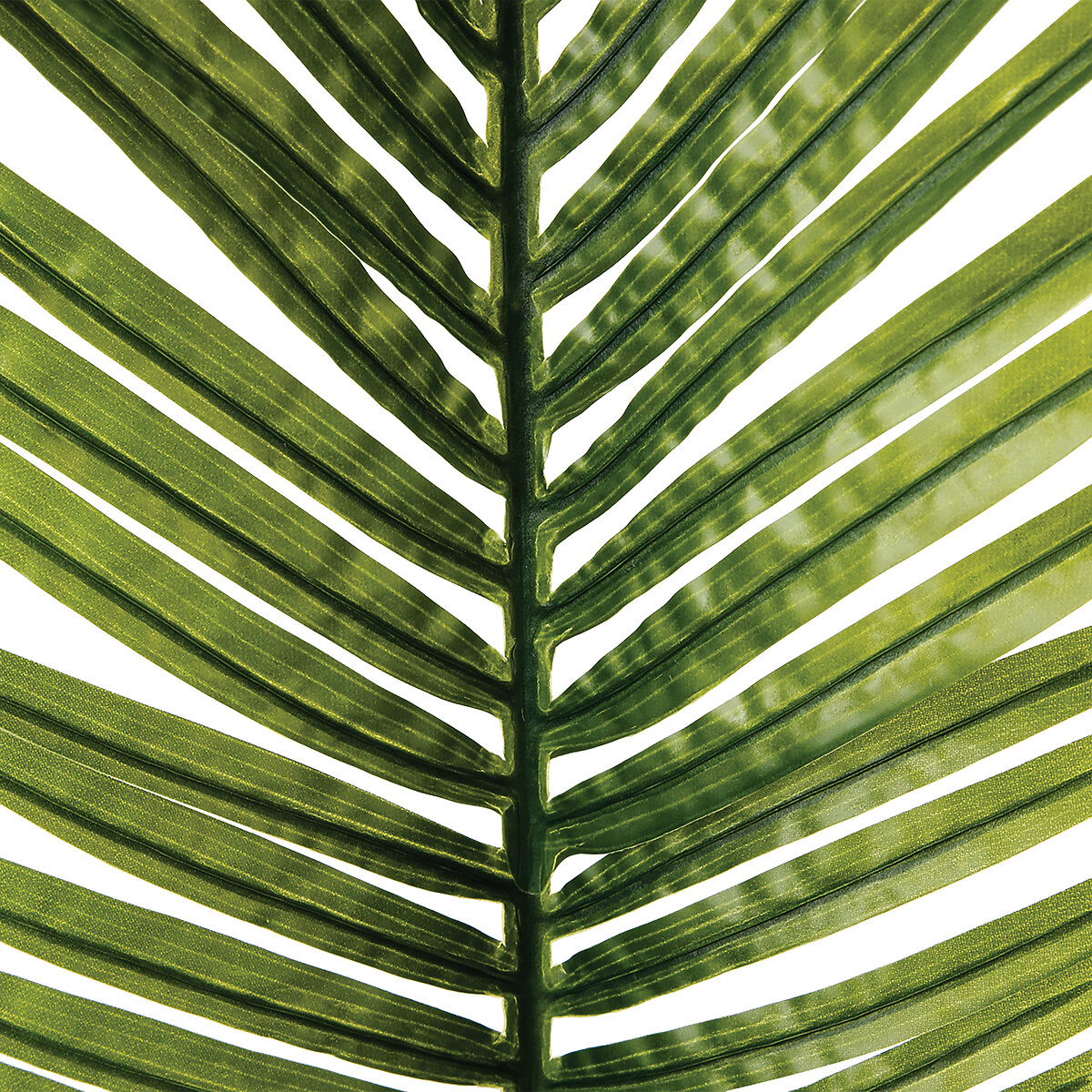 Rama De Hoja De Palma Artificial 113Cm