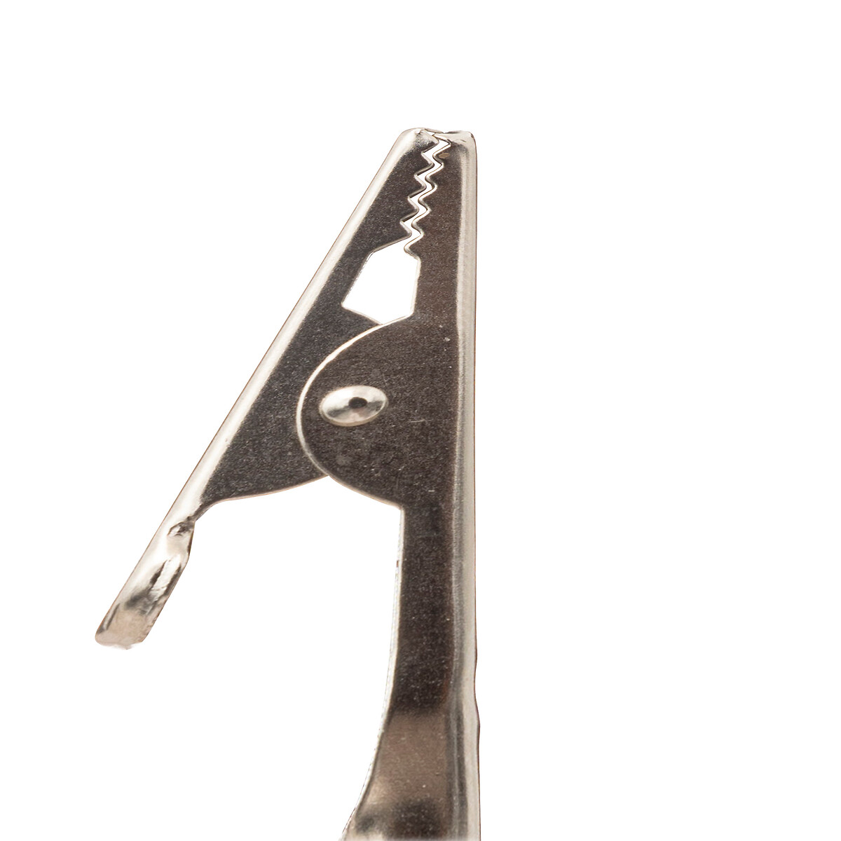 Flor Poinsétia Bege E Dourada Com Mola