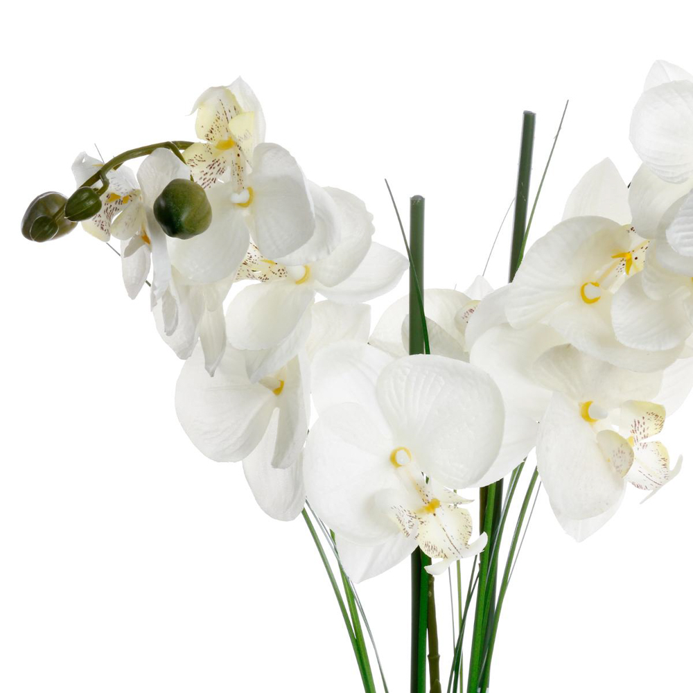 Maceta Cer&aacute;mica C/Orqu&iacute;dea 53Cm