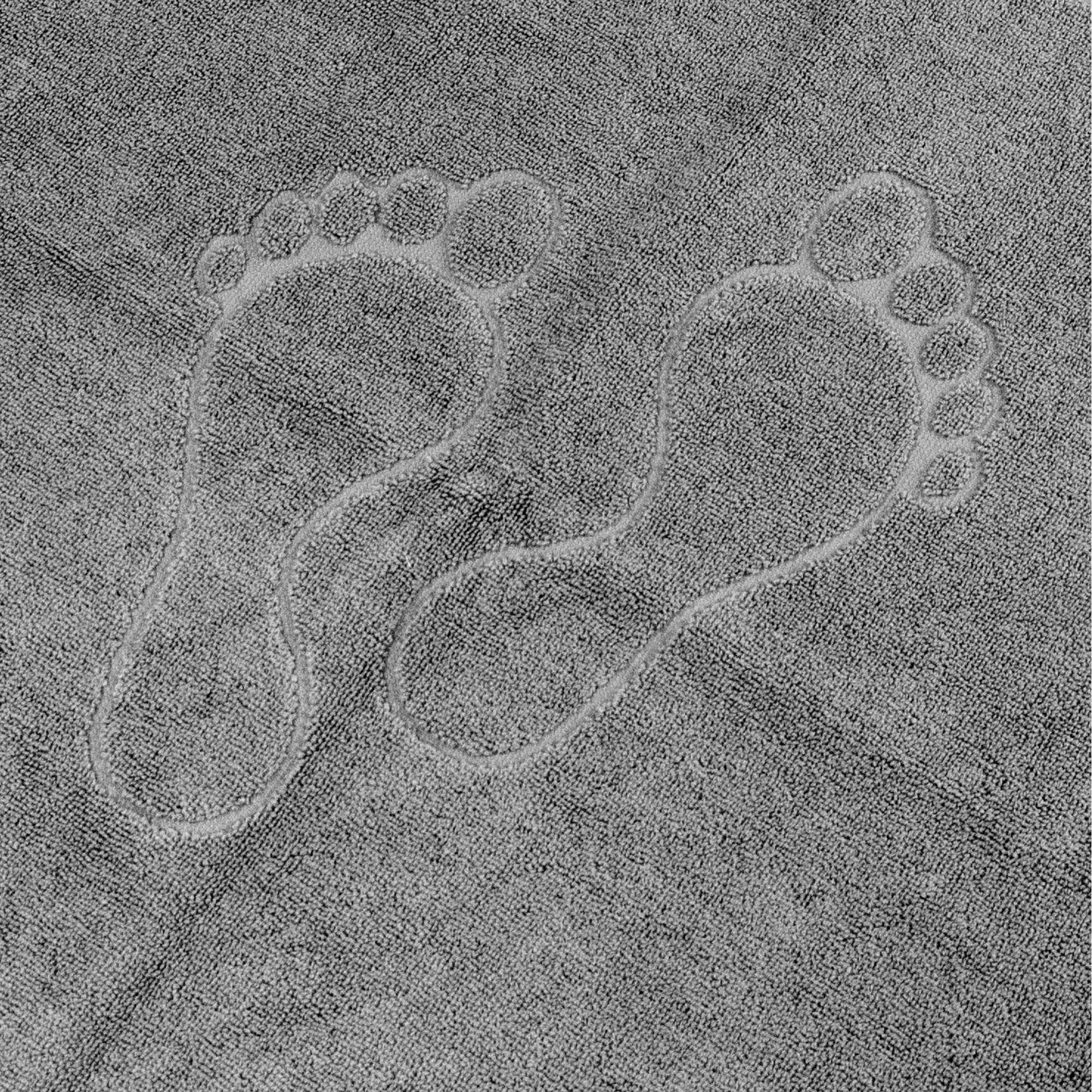 Alfombra De Baño Toosty Gris 50x70Cm