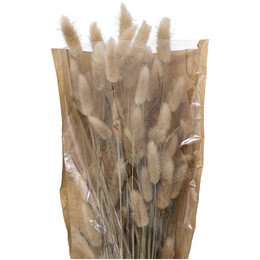 Ramo De Flores Secas Ori 18x58Cm 