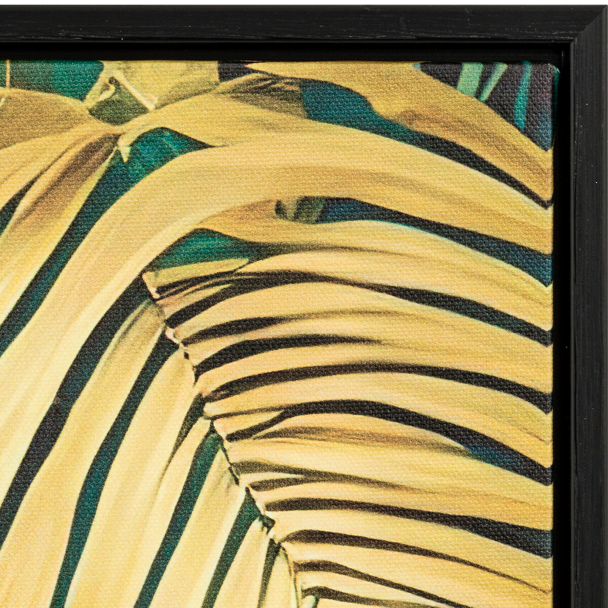 Cuadro decorativo con papagayo CHARLENE 70x50cm