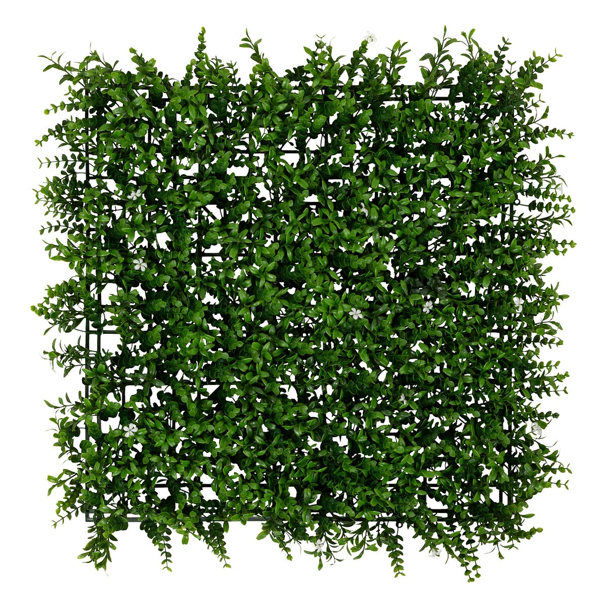Jard&iacute;n vertical CLASSIQUE IZY 50x50cm