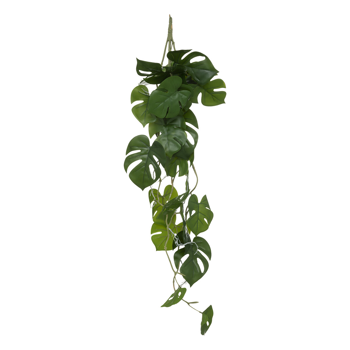 Rama Monstera Verde Colgante 25x5x85Cm