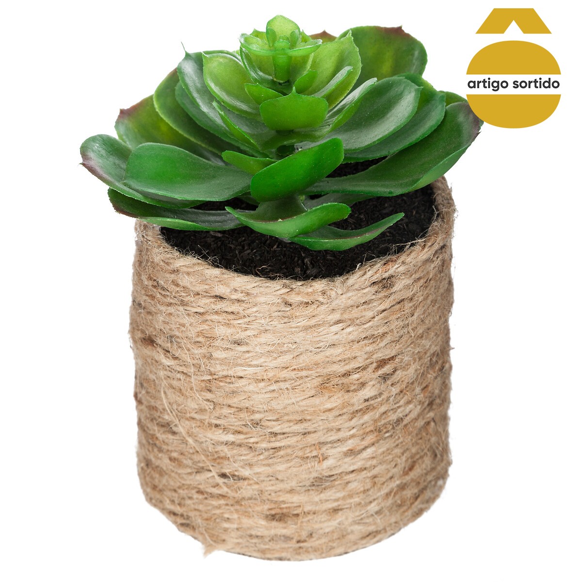 Vaso De Corda Com Planta 15cm