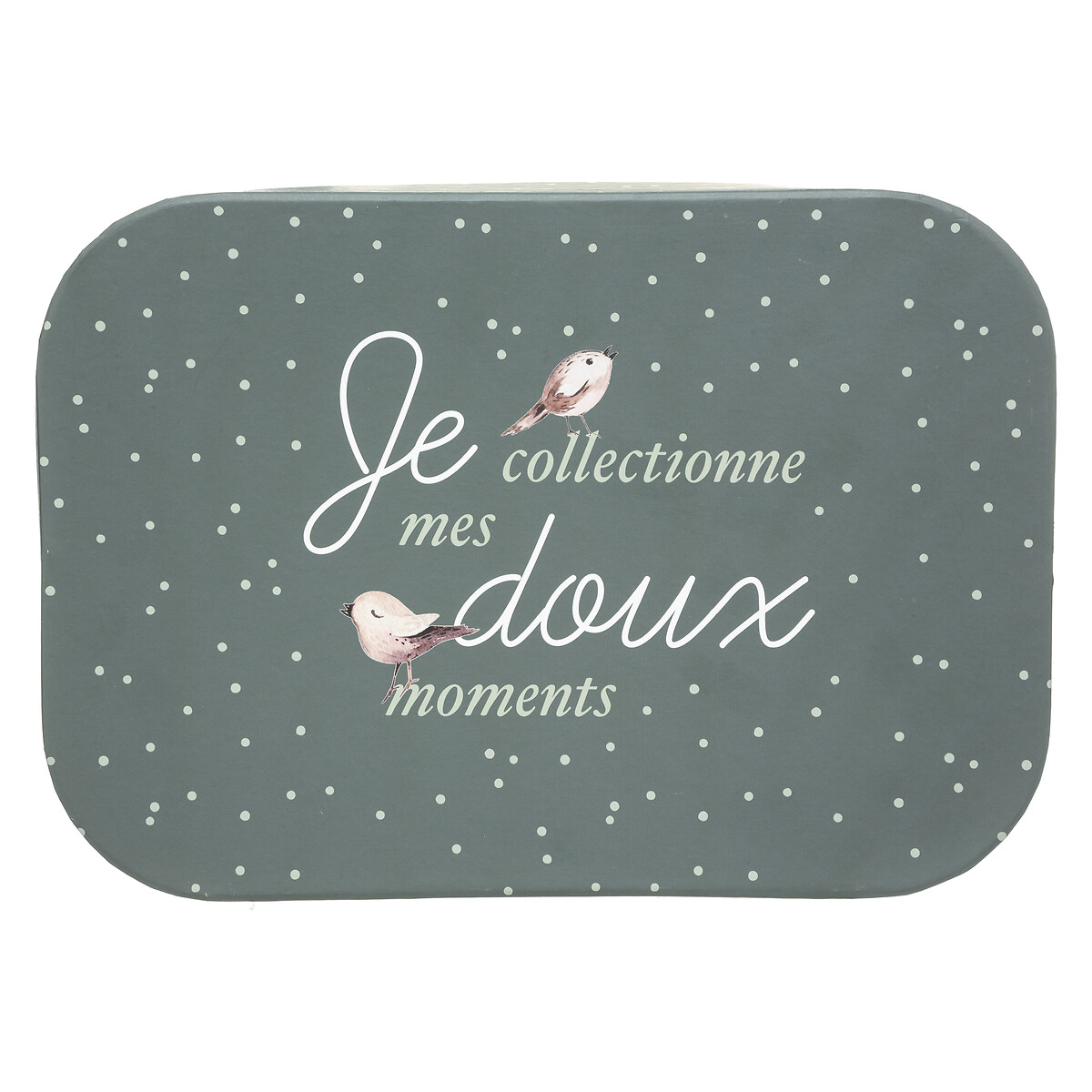 Caja Almacenaje Forest 32.5x22.8x16.5Cm