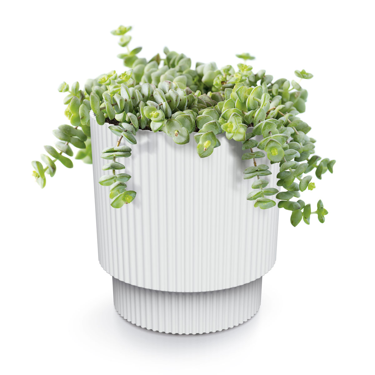 Jarr&oacute;n MILLY round blanco 21x19.5x19.5cm