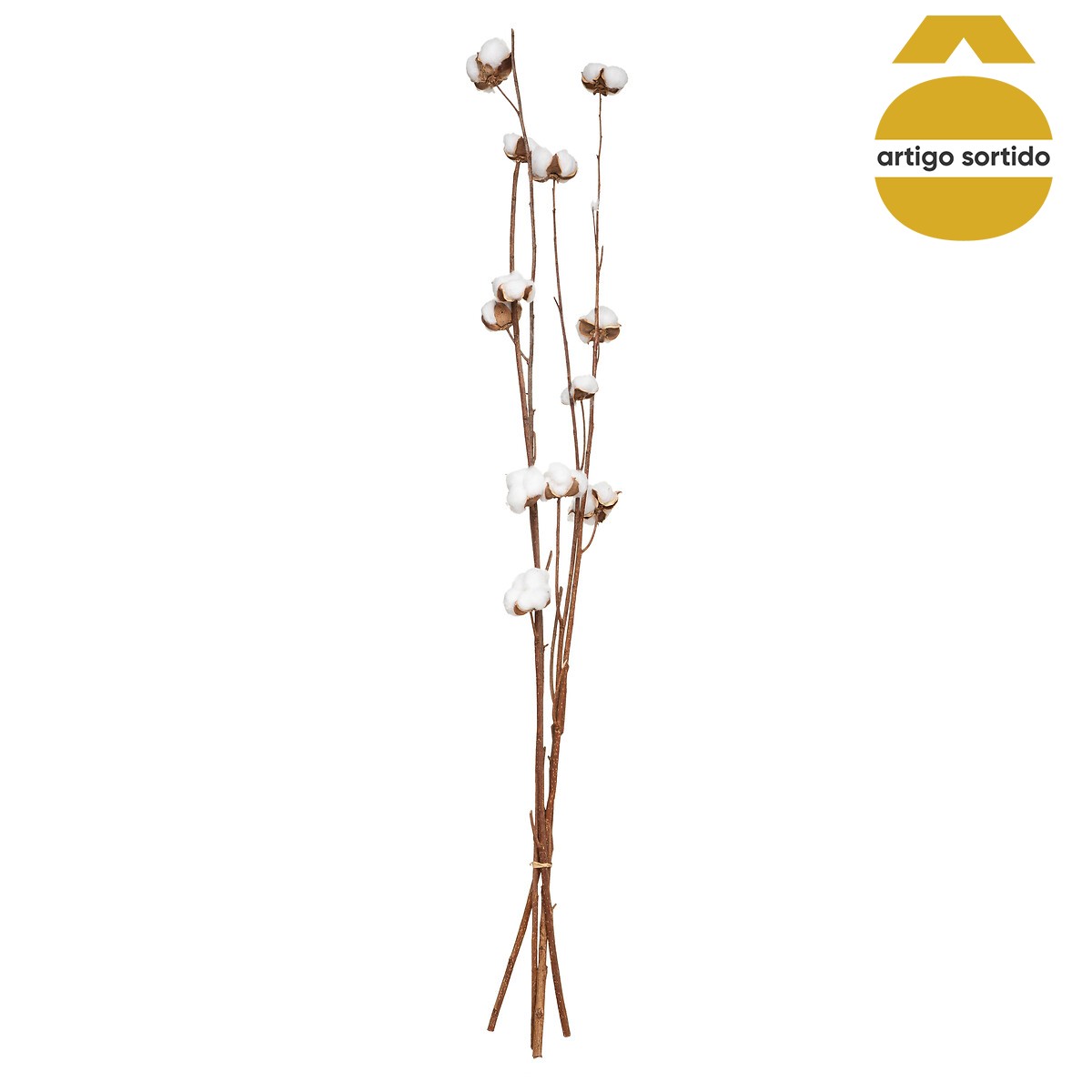 Ramo Seco Natural 100cm