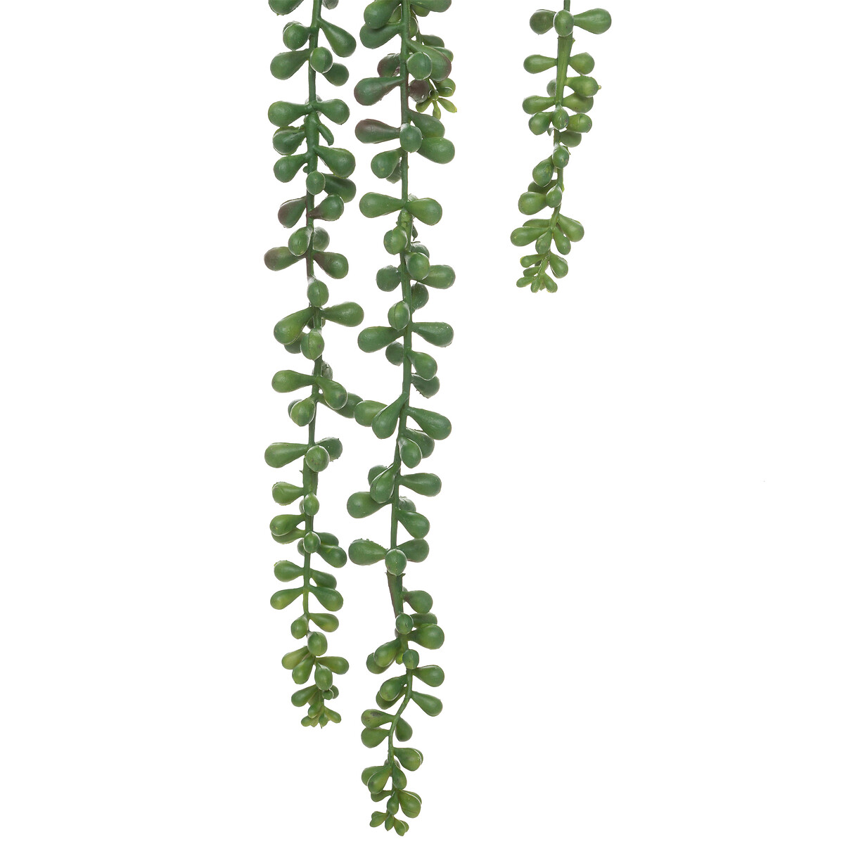 Rama De Planta Colgante Verde 7x7x37Cm