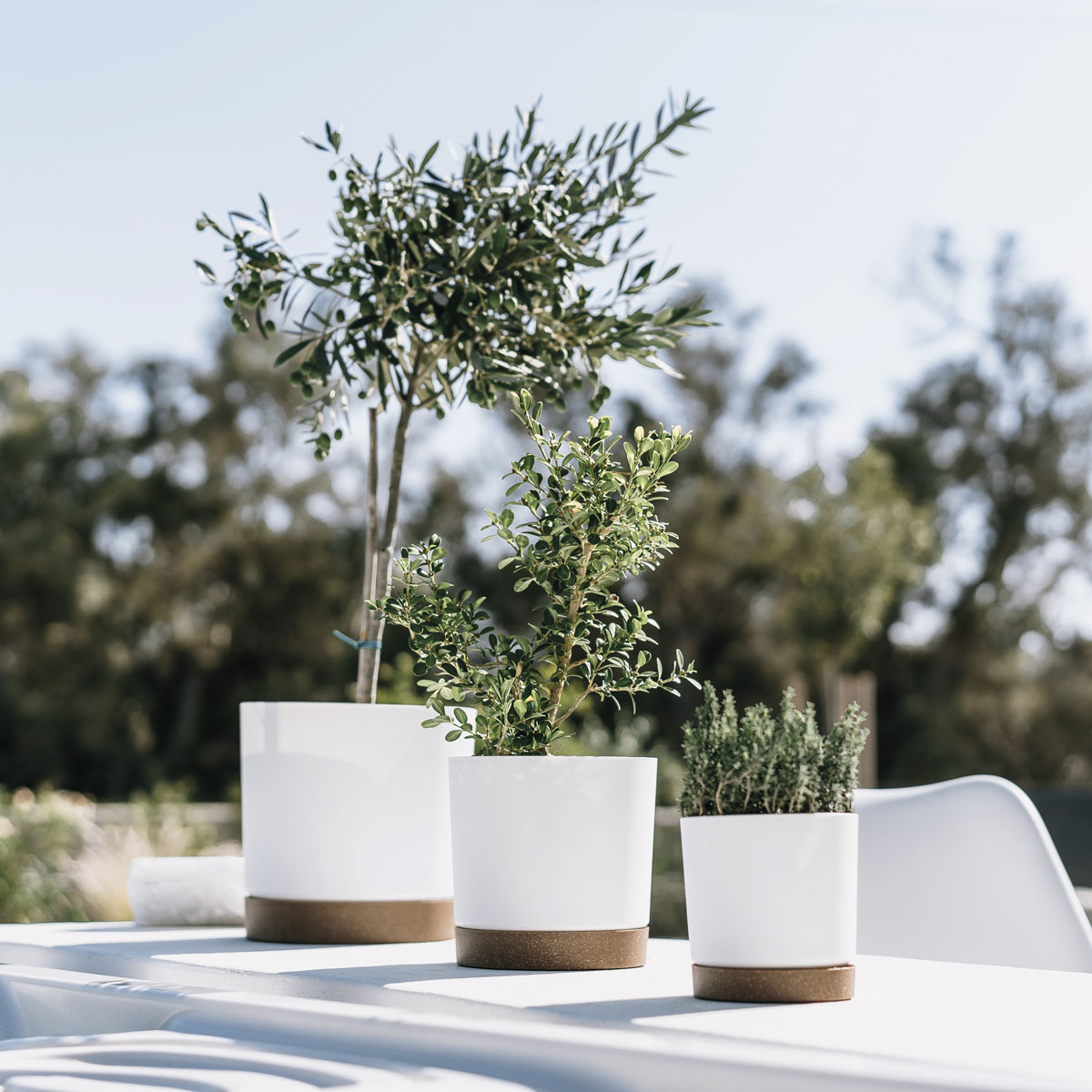 Maceta TUBO PM blanca 14,7x14,8x14,8cm