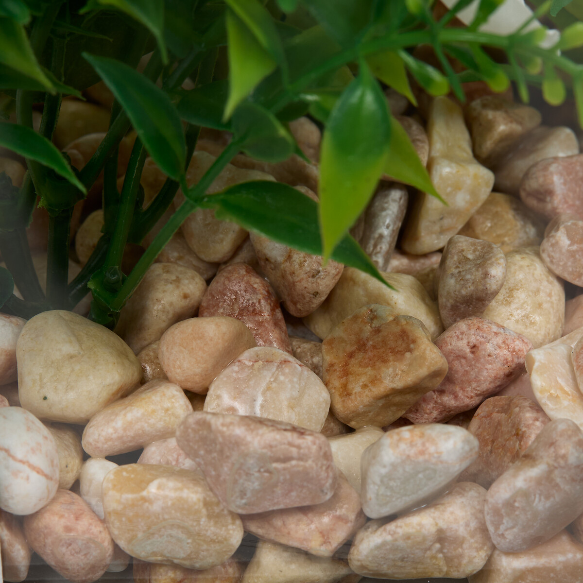 Terrario con plantas artificiales 23cm