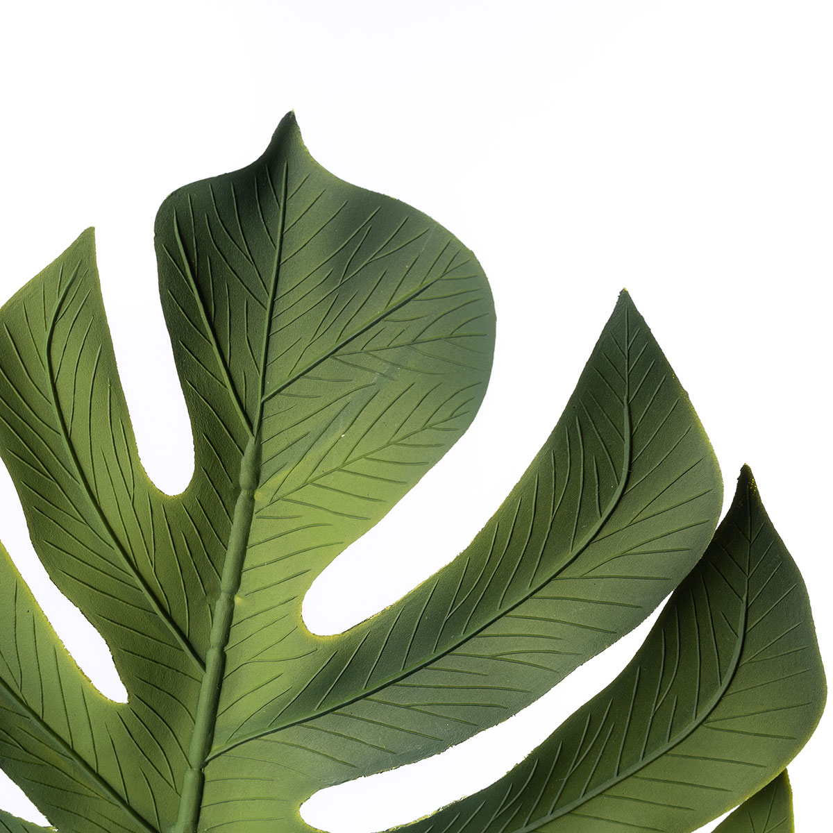 Rama Hoja Costilla De Adán Verde 85cm