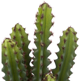 Cactus artificial ALI con maceta terracota