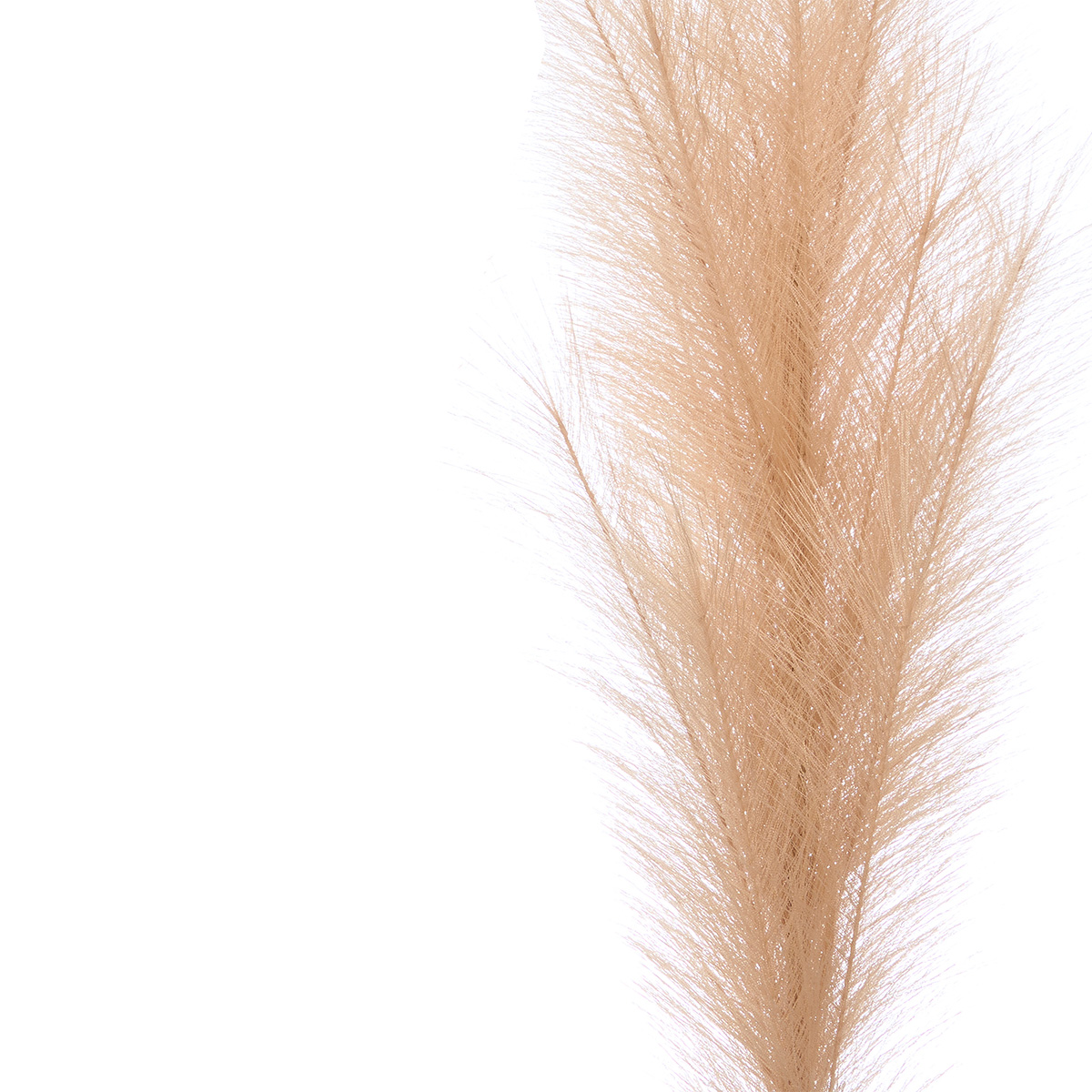 Rama pampa artificial beige 110cm