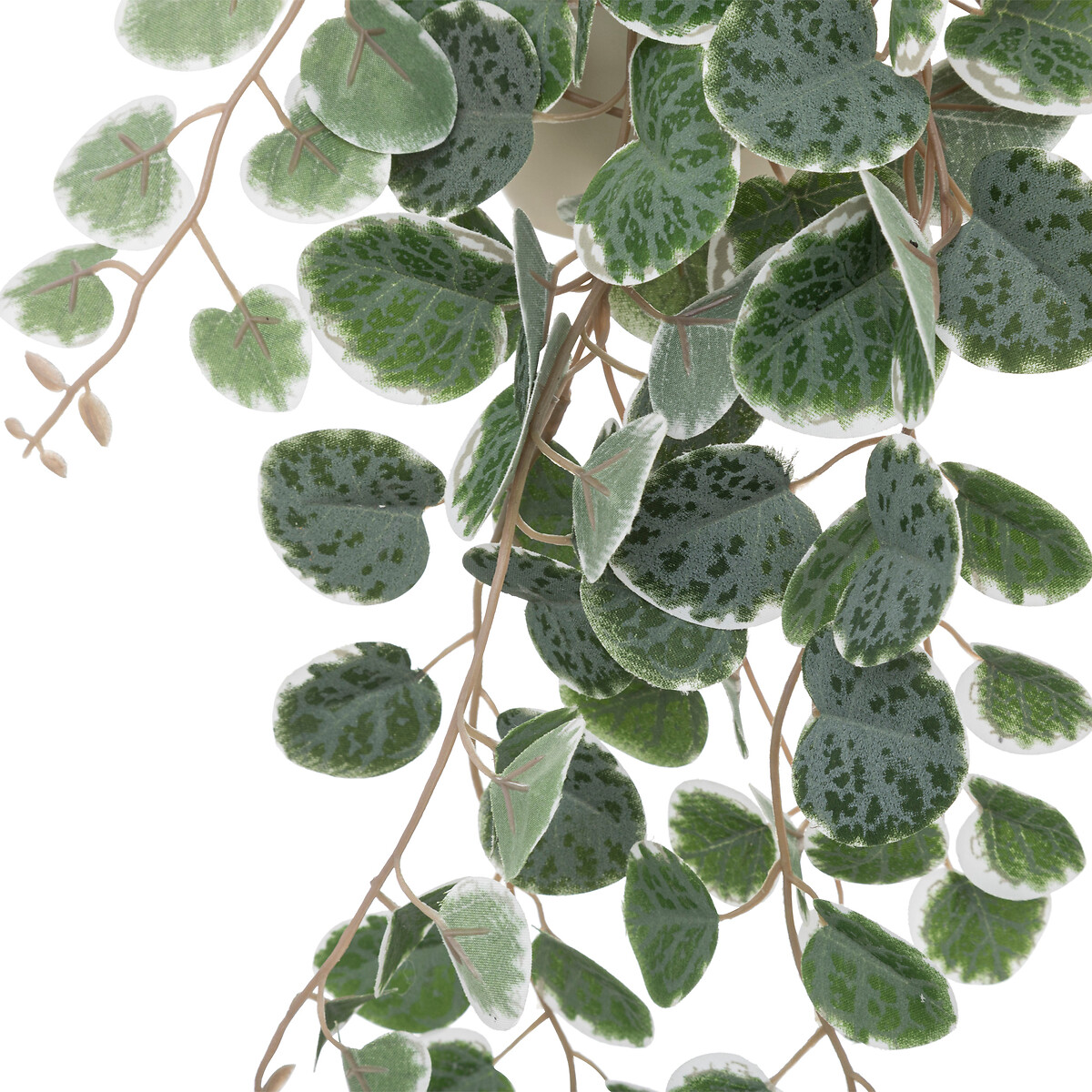 Vasinho Suspenso Com Planta Verde Caravane