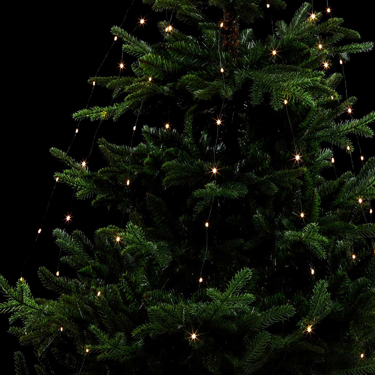 Série Luminosa De Natal Branco Quente 200 LEDs 1,65m