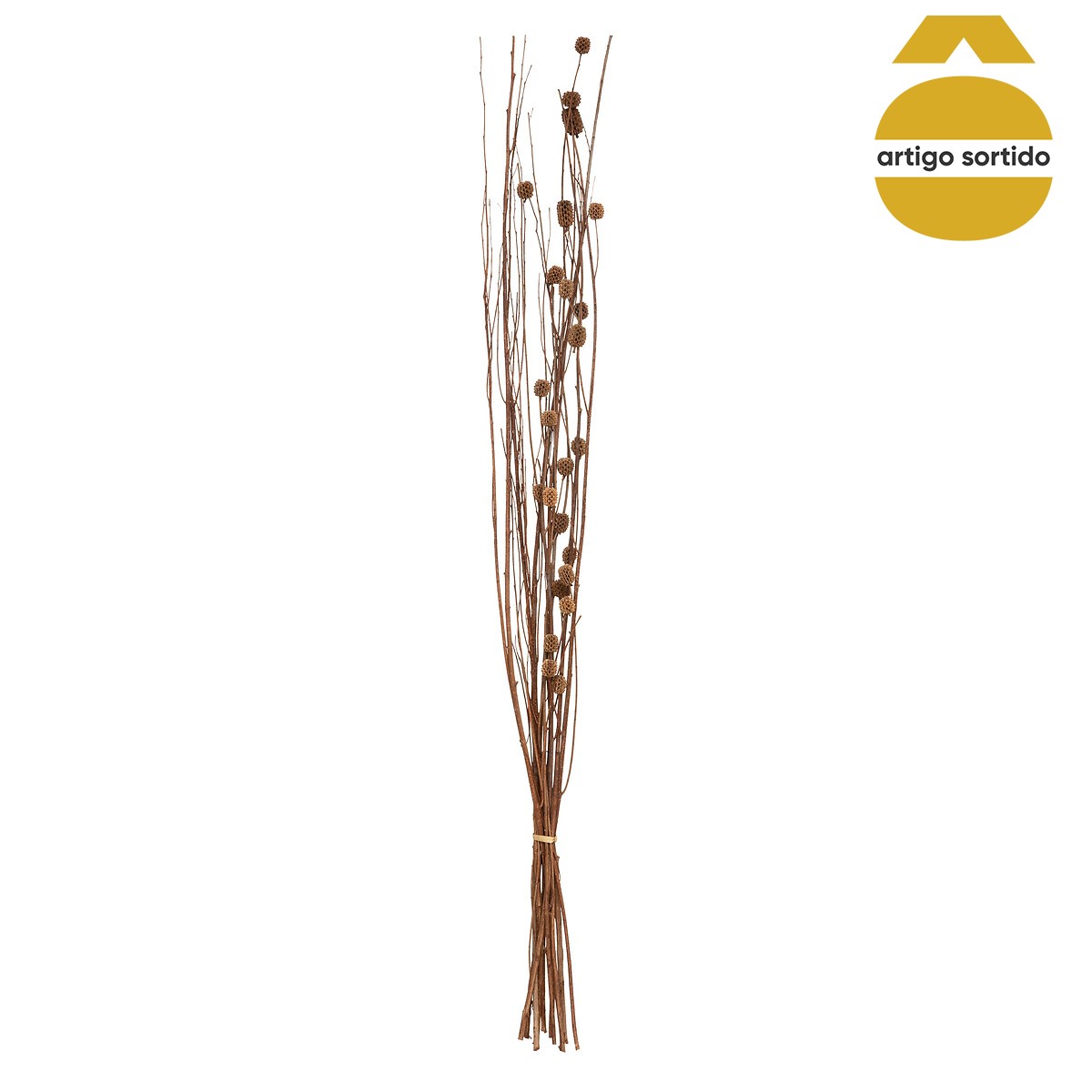 Ramo Seco Natural 100cm