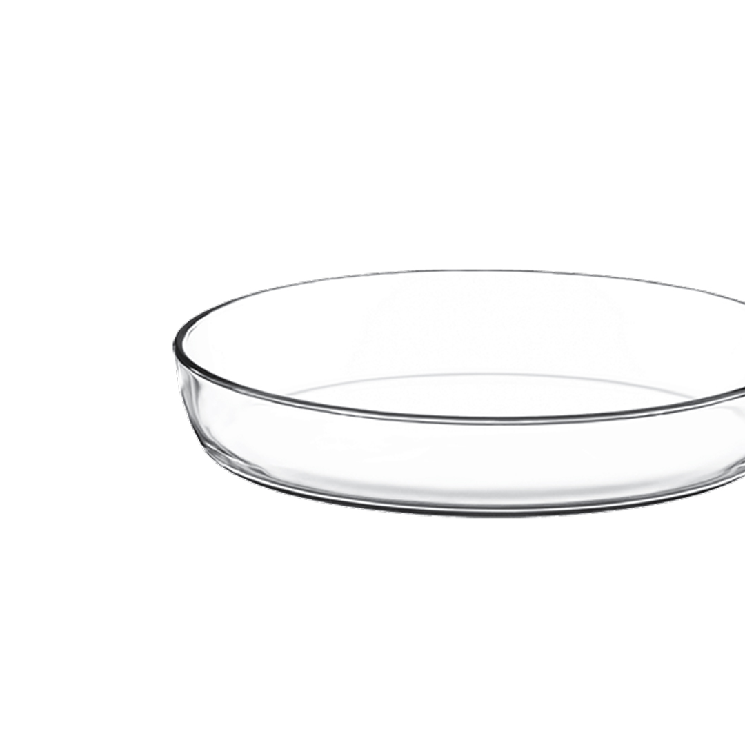 Fuente Borcam Ovalada De Vidrio