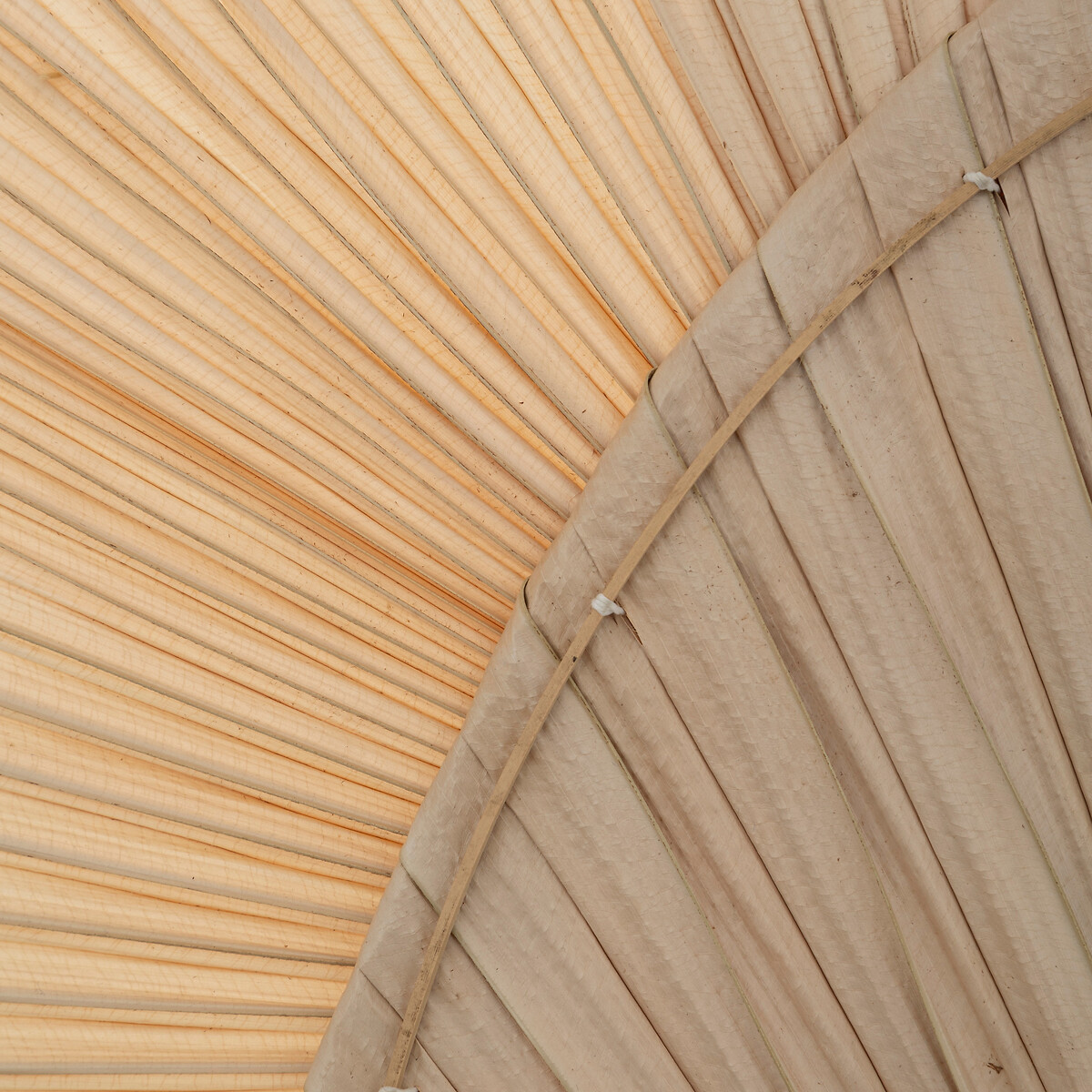 Hoja De Palma Decorativa Selma 70cm