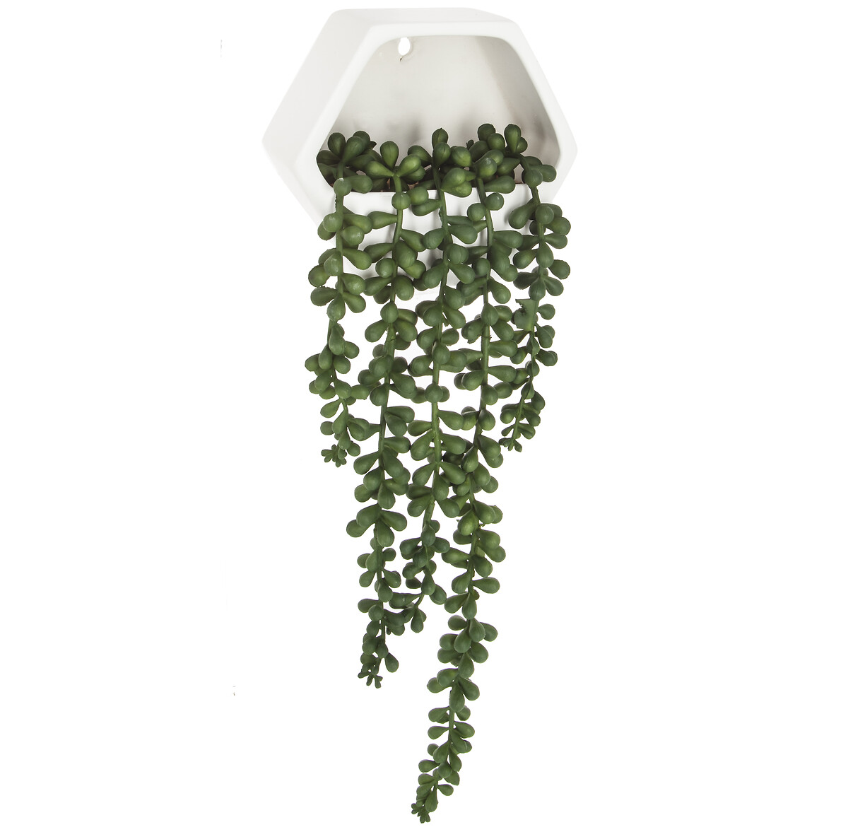 Maceta De Cer&aacute;mica Con Planta