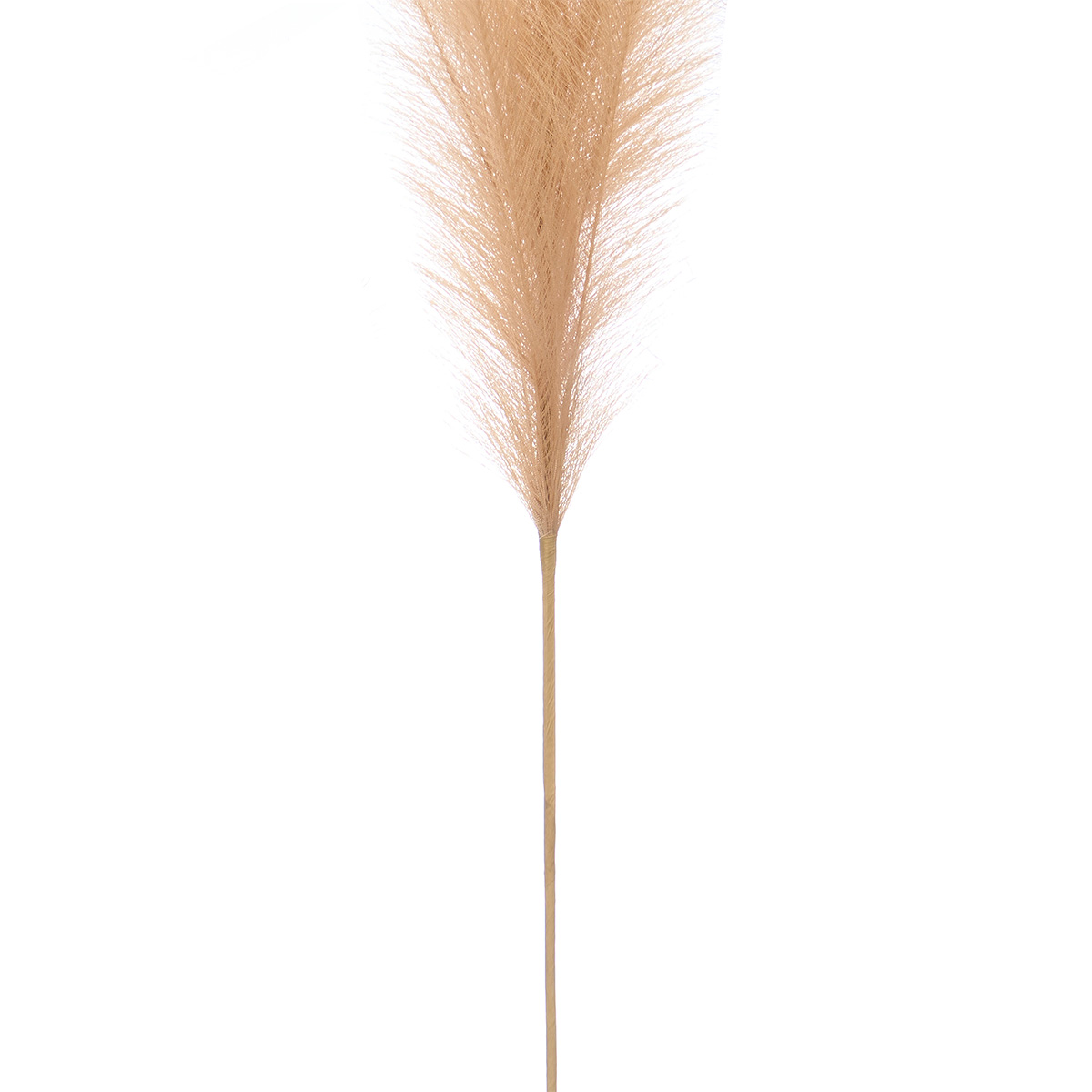 Rama pampa artificial beige 110cm