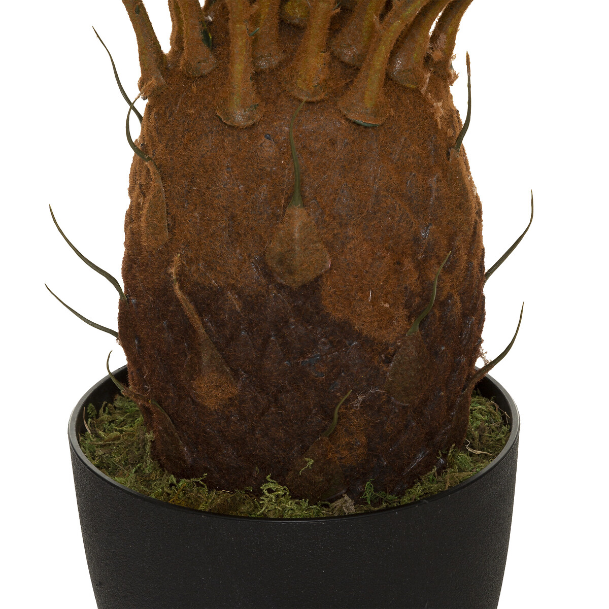 Palmera Pi&ntilde;a Con Maceta 93Cm