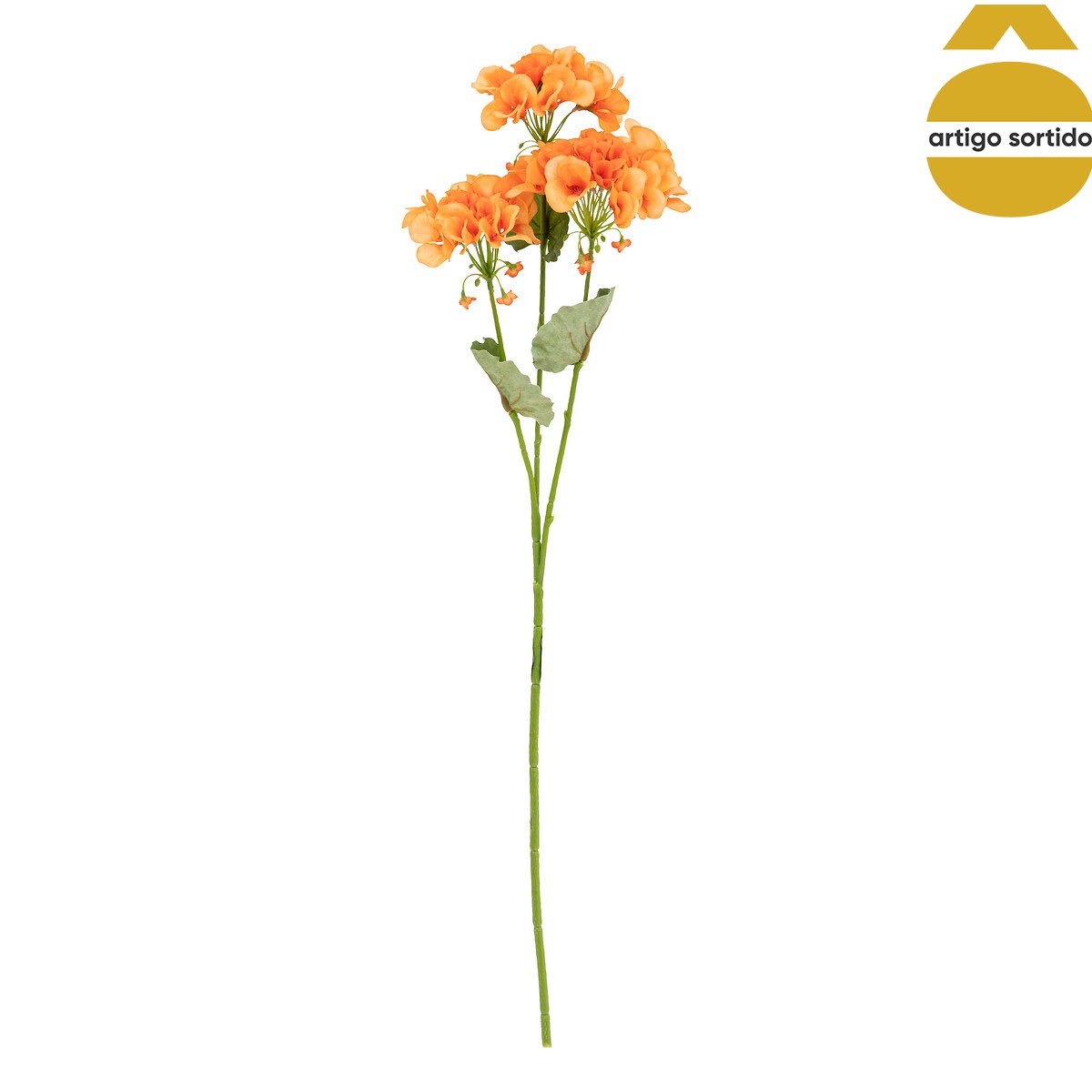 Haste Pelargonium 69cm