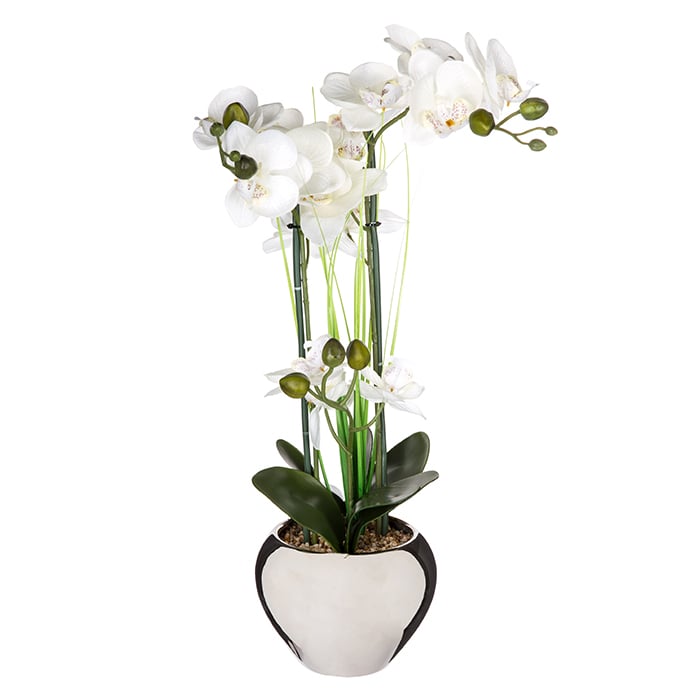 Maceta Cer&aacute;mica C/Orqu&iacute;dea 53Cm