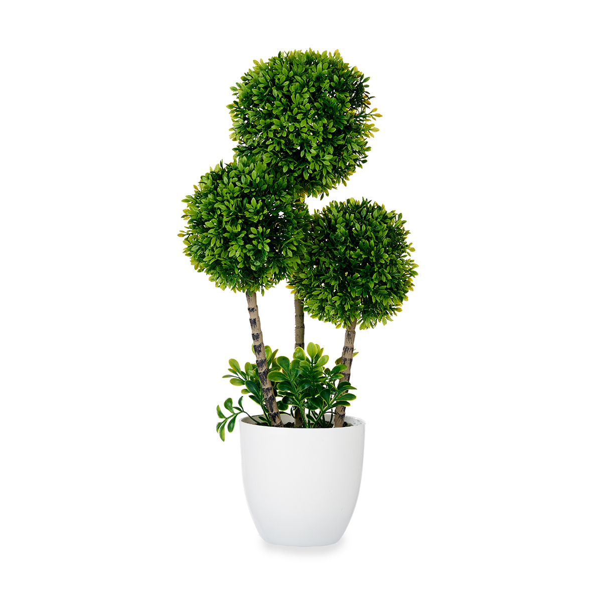 Maceta Con Planta 14x19x46Cm