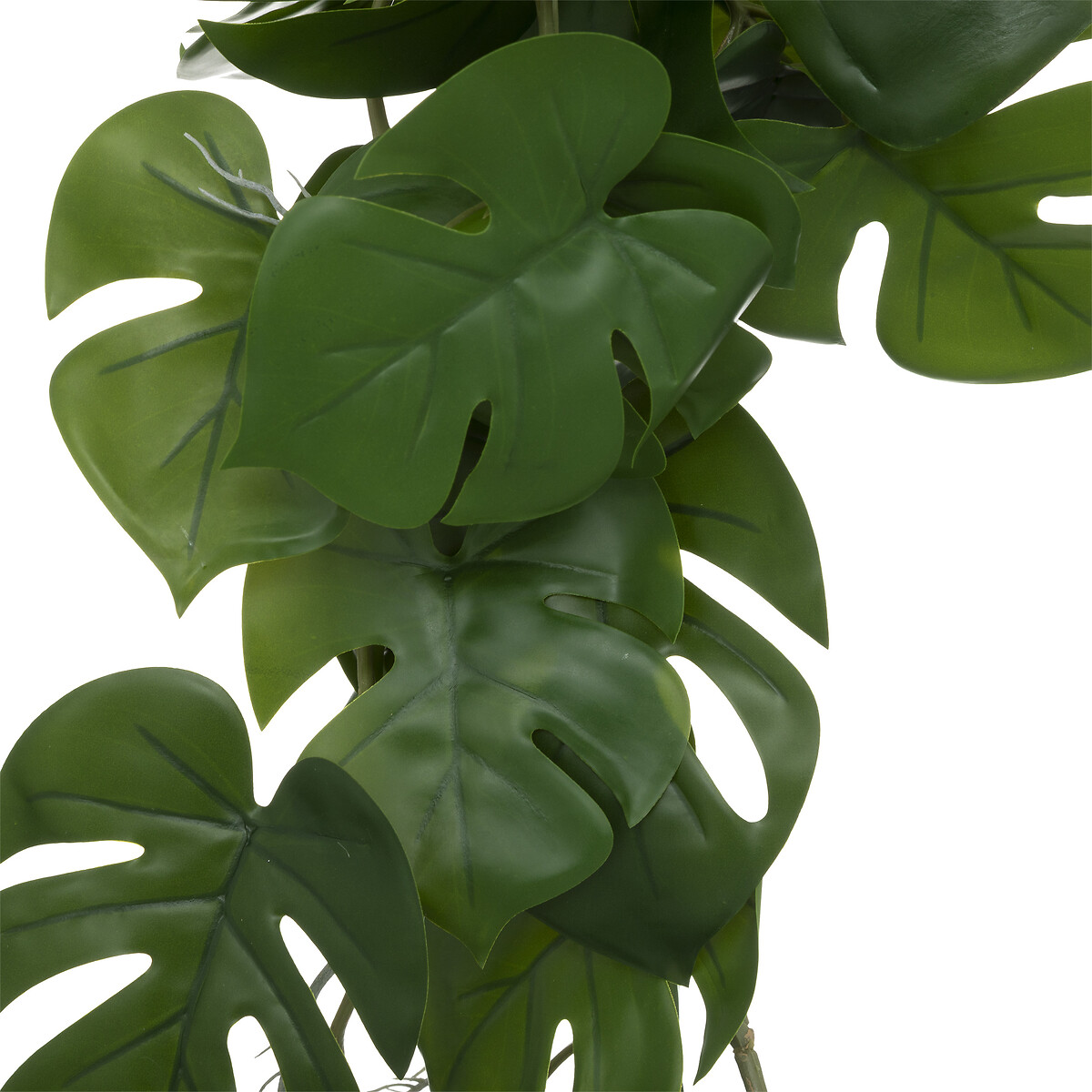 Rama Monstera Verde Colgante 25x5x85Cm