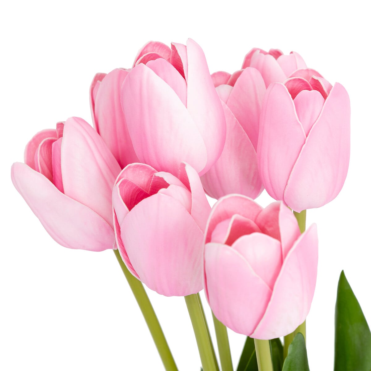 Ramo de 10 Tulipanes Rosas 48cm