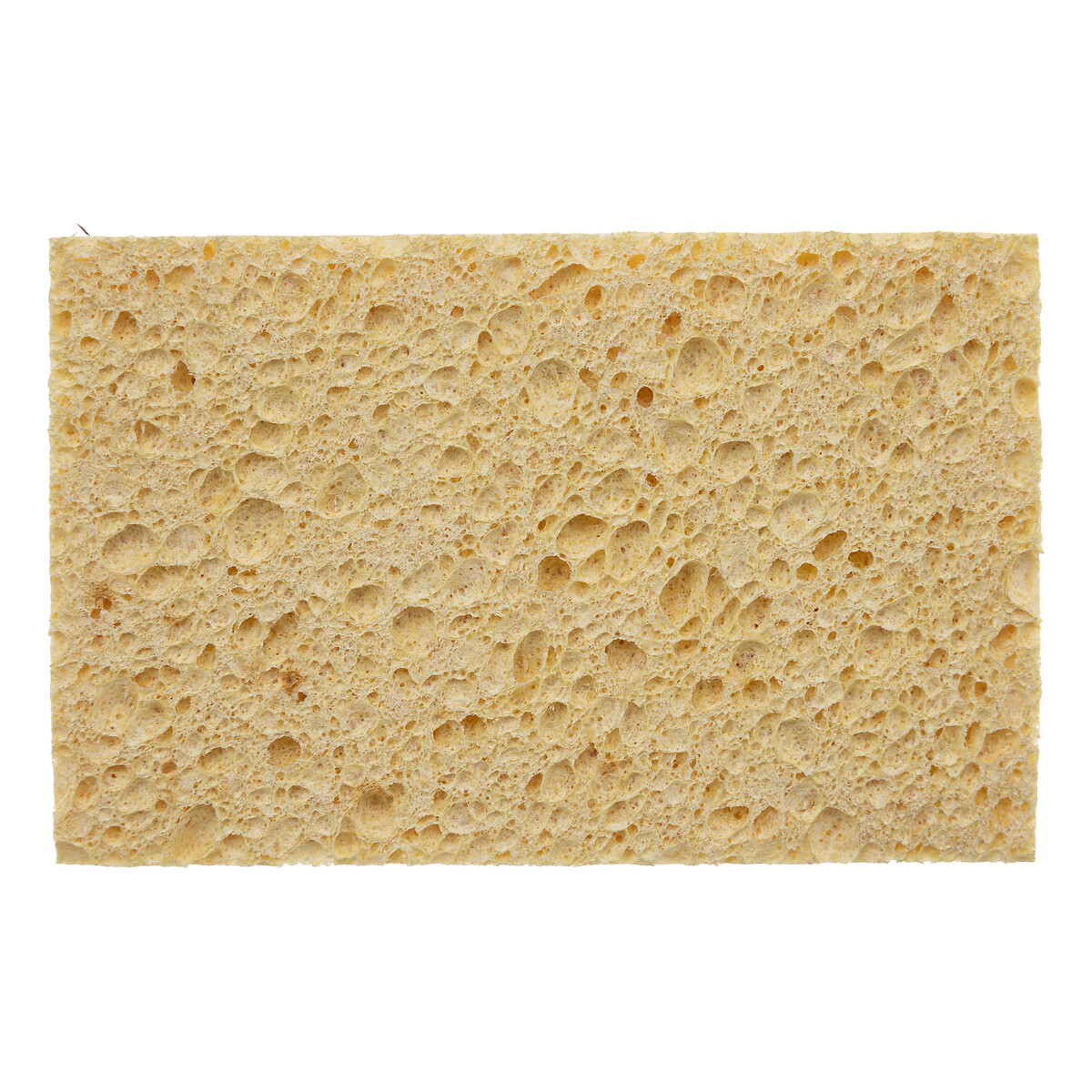 Set 2 Esponjas Fibra de Coco