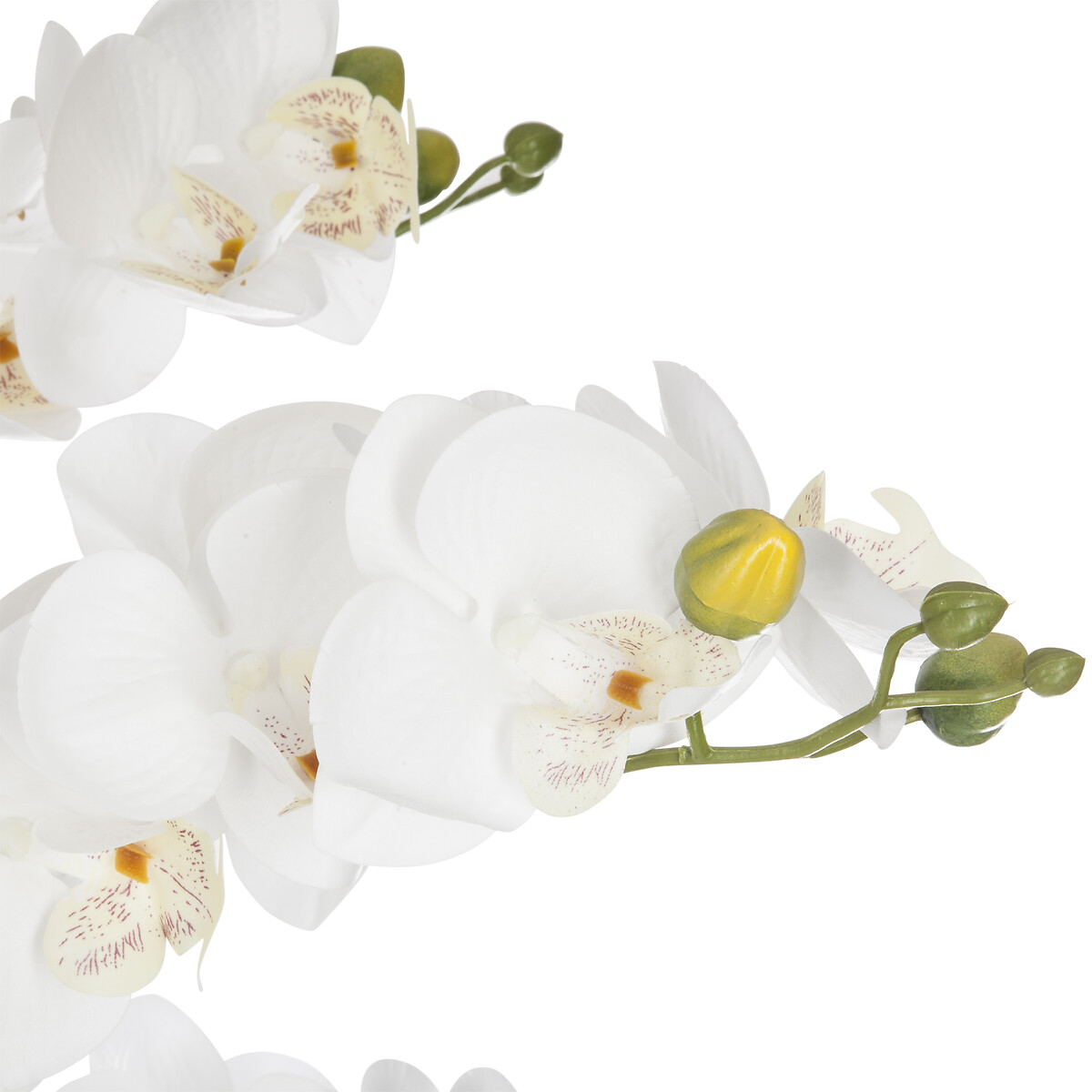 Maceta Efect.M&aacute;rmol C/Orqu&iacute;dea 25x65Cm