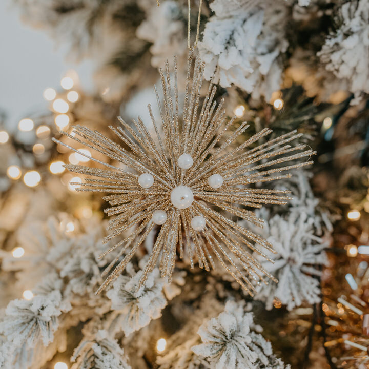 Estrela Com Pérolas