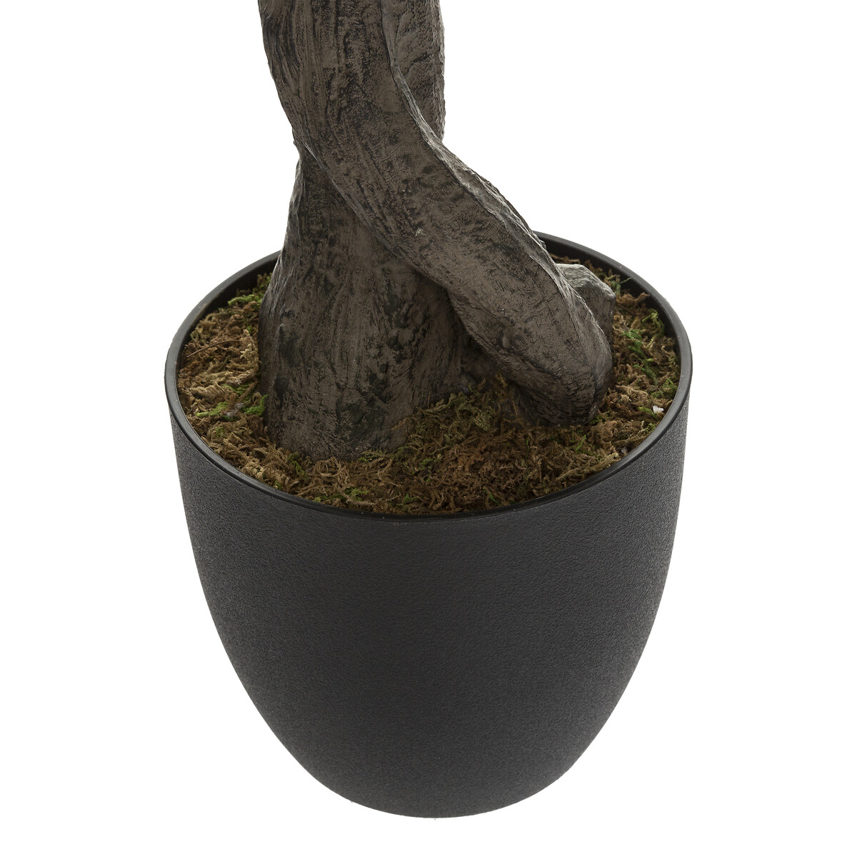 Planta Oliveira Com Vaso 140cm