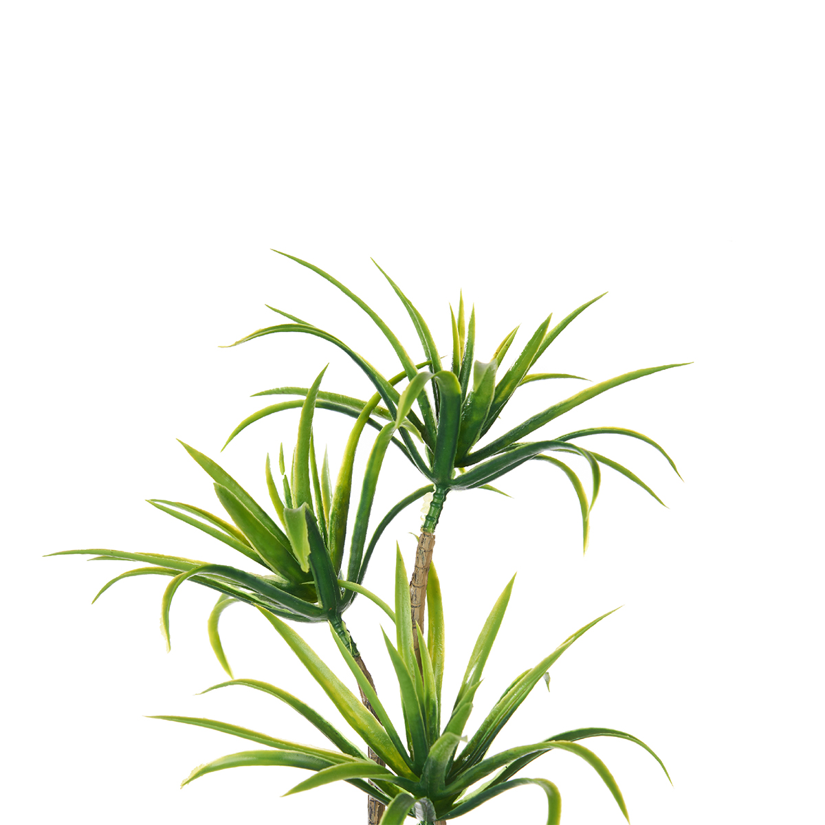 Palmera C/Maceta De Cemento 16x22x38Cm