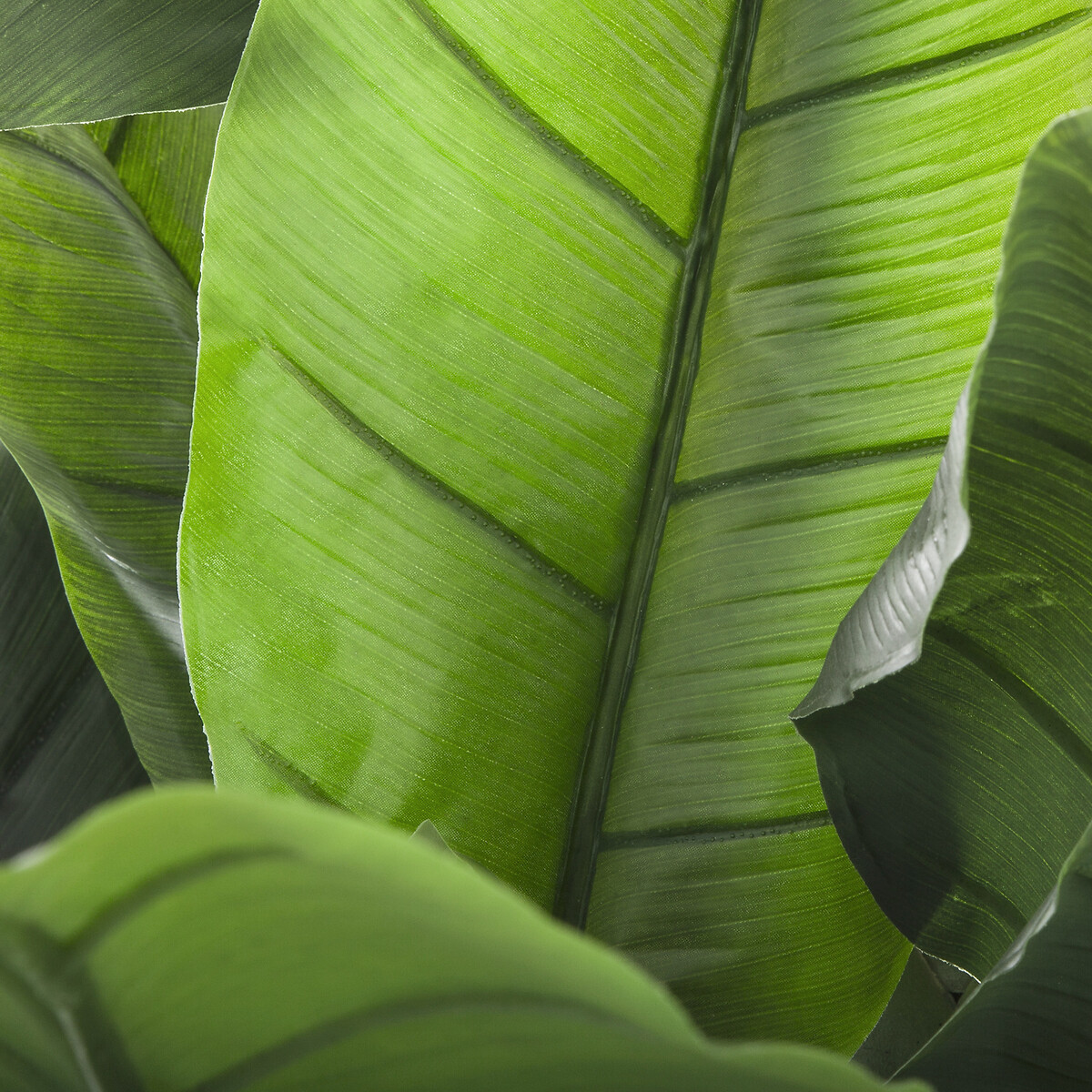 Bananera Artificial 30 Hojas 170Cm