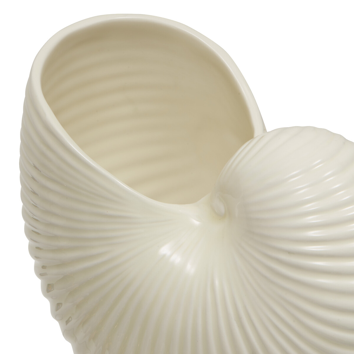 Jarr&oacute;n en forma de concha OCEANIA 18cm