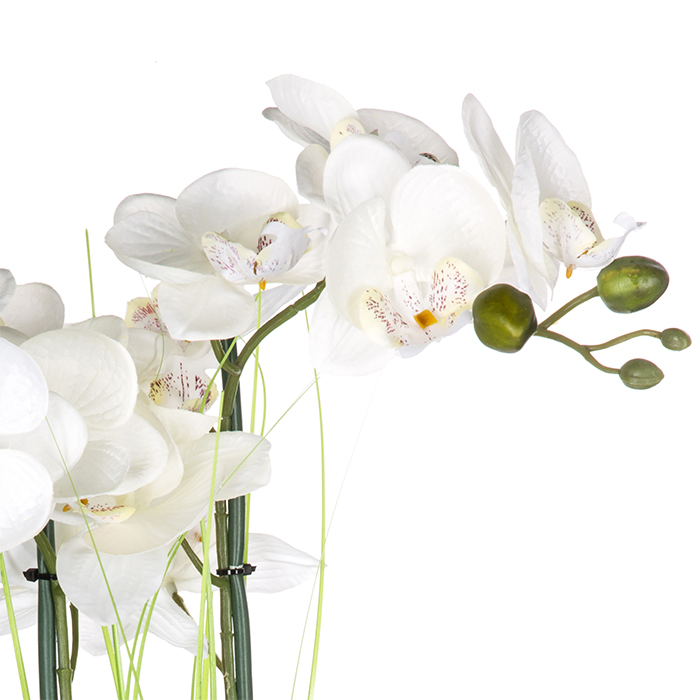 Maceta Cer&aacute;mica C/Orqu&iacute;dea 53Cm