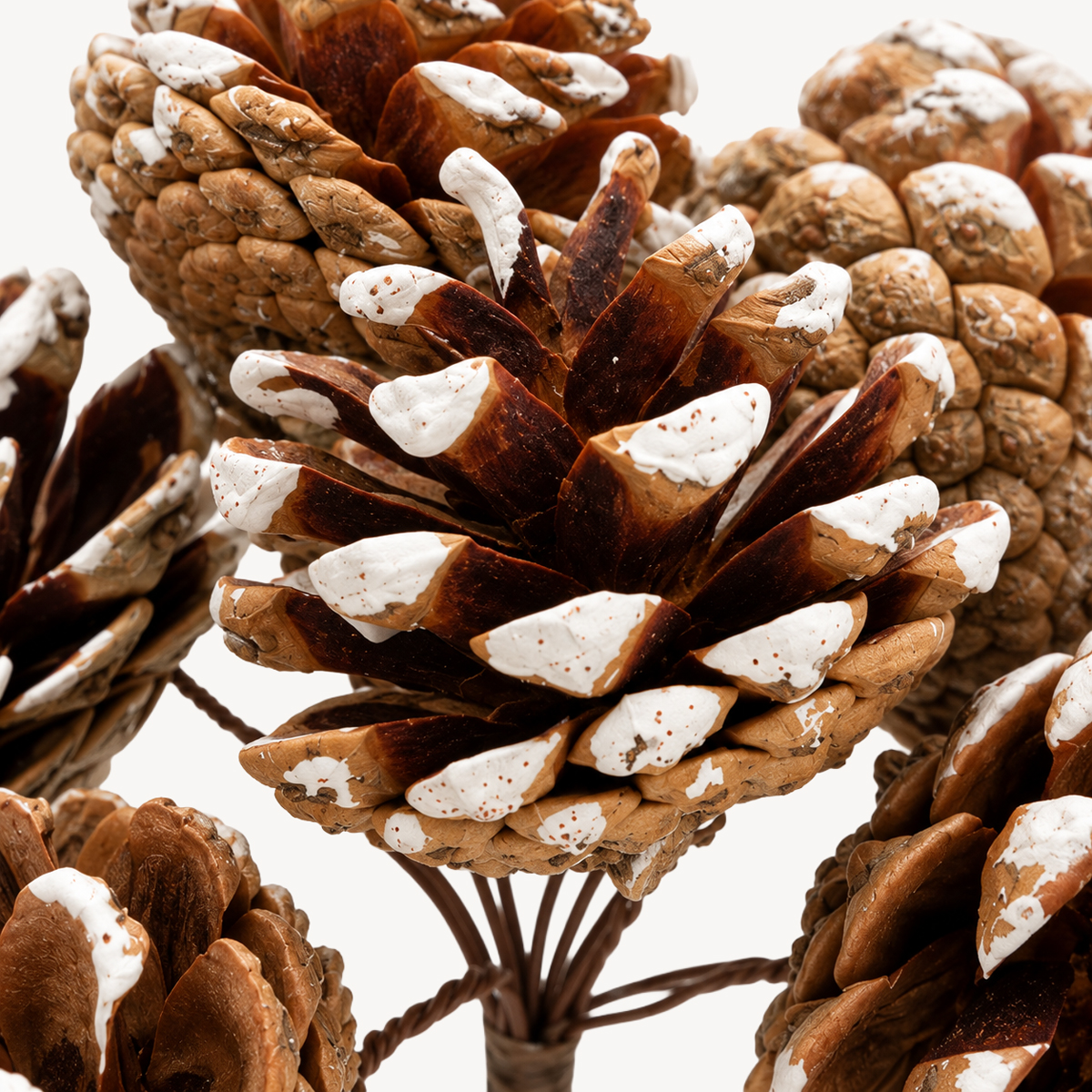Rama pi&ntilde;as efecto nieve 