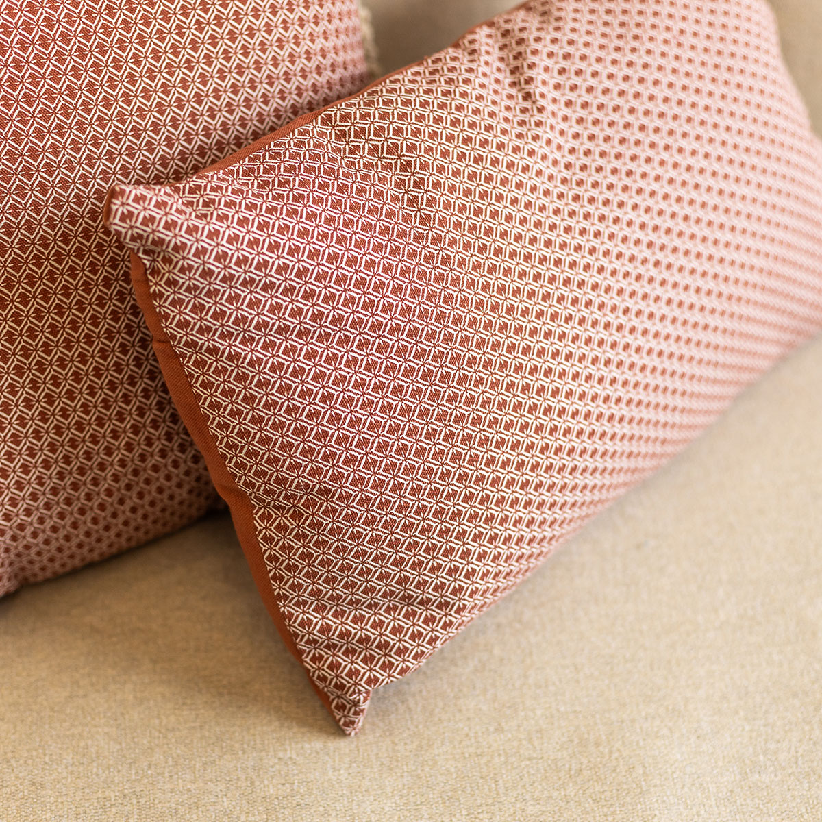 Coj&iacute;n Otto Terracota 30x50Cm